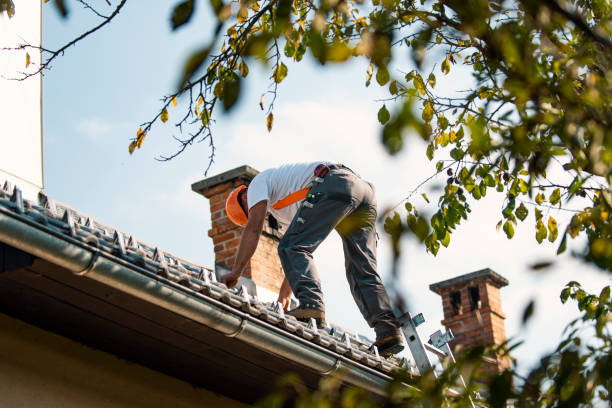 Best Flat Roof Repair Services  in East Basin, UT