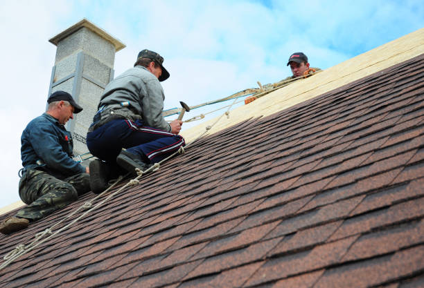 Best Metal Roofing Contractor  in East Basin, UT